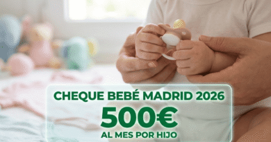 Cheque Bebé Madrid 2026